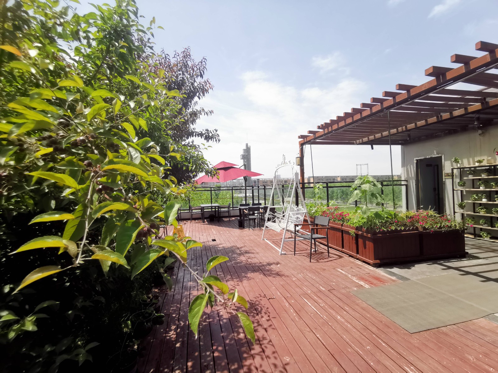 1716192506684797.jpg 1716192506684797.jpg