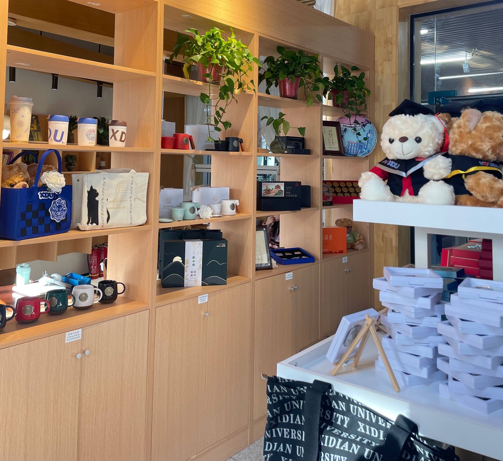 1733130082879078.jpg 1733130082879078.jpg